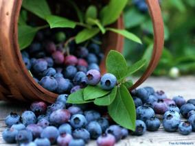 Blueberries for eye health
