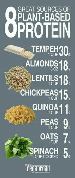 Plant protein sources
